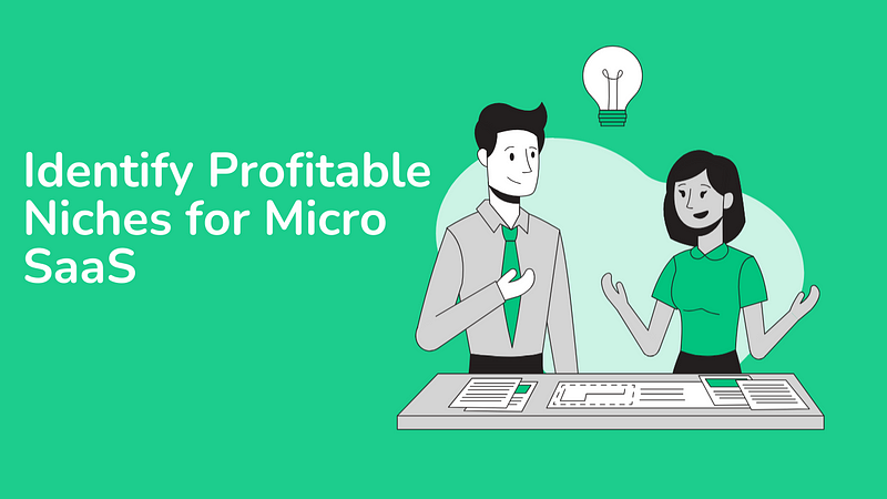 Identifying profitable niches for Micro SaaS