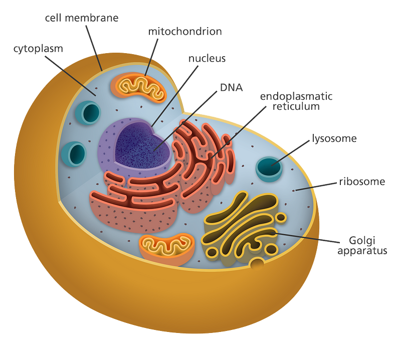 A cell structure highlighting the importance of updated scientific understanding.