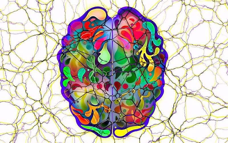 Miniature brain organoid