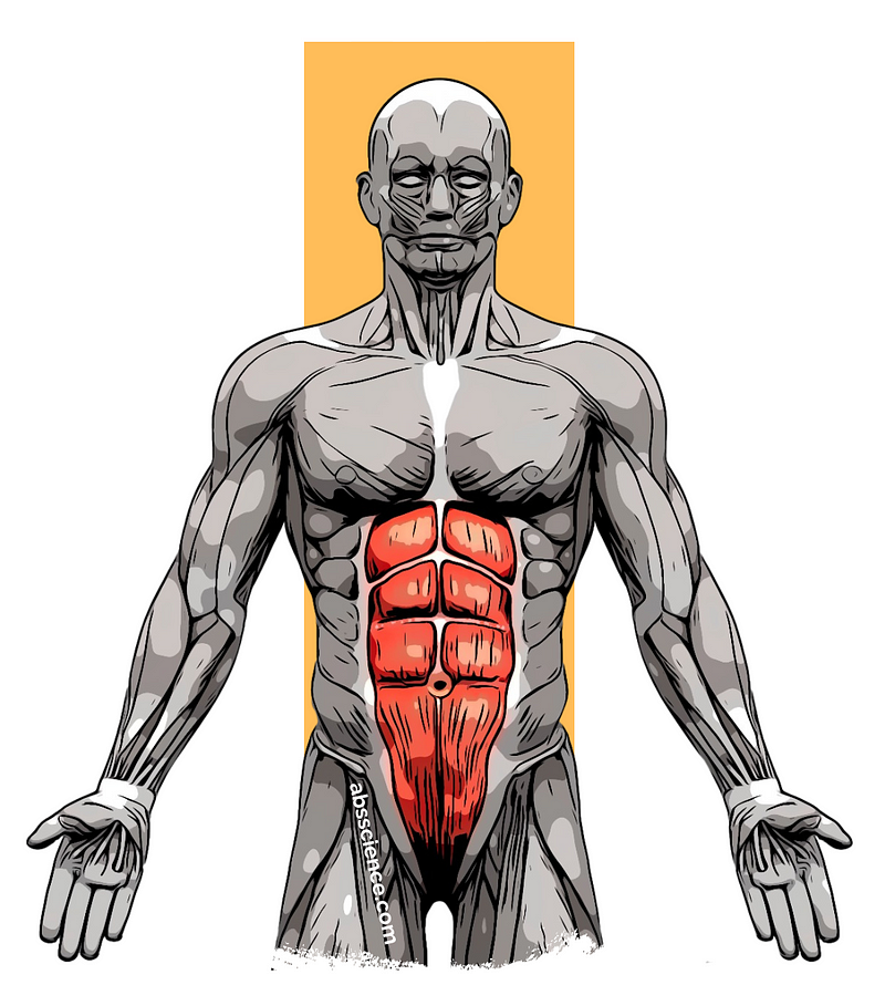 Techniques for training abs effectively