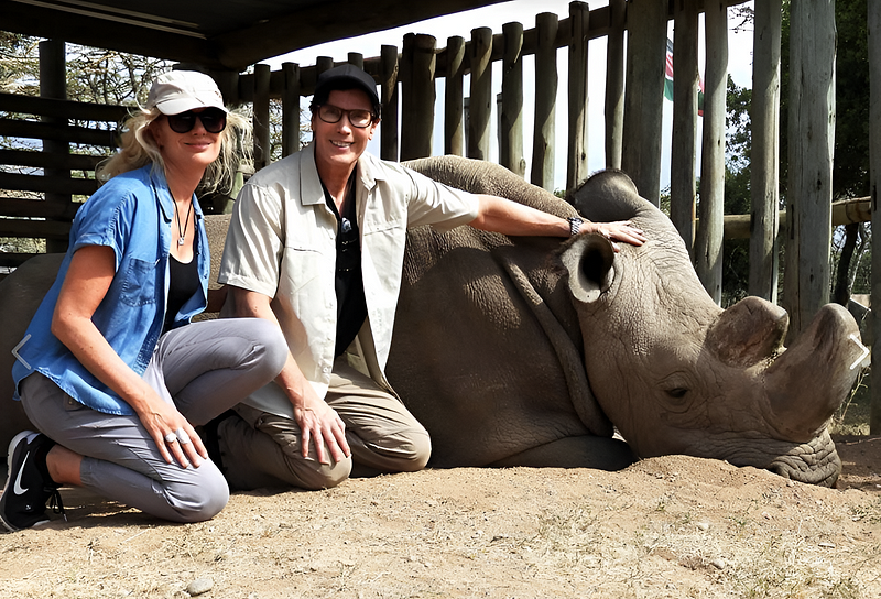 Southern white rhino surrogates for IVF