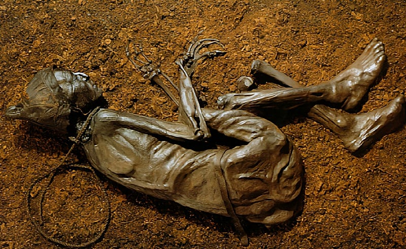 The well-preserved remains of the Tollund man