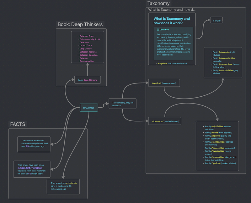 Example of a mind map created with the Canvas Presentation plugin.