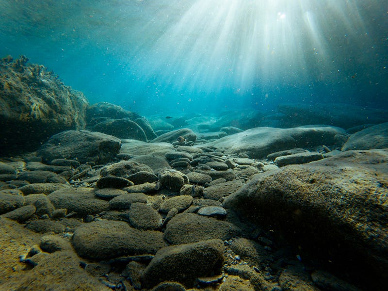 Underwater view of the stone wall discovery