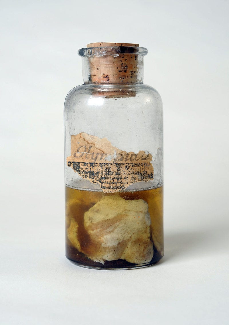 Preserved meat sample from the Kentucky incident