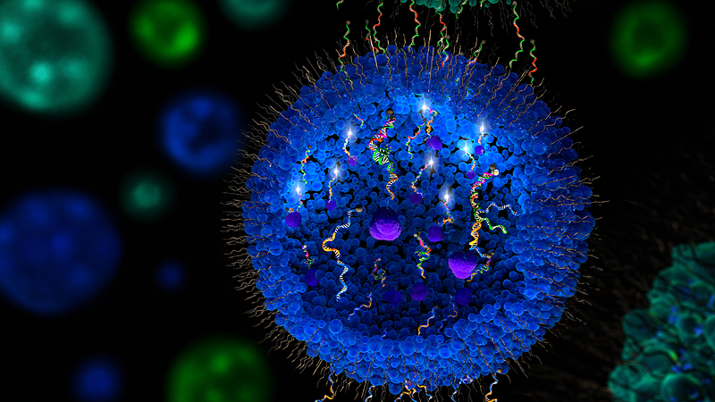 Illustration of synthetic DNA structures