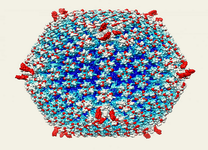 Engineered adenovirus targeting cancer cells