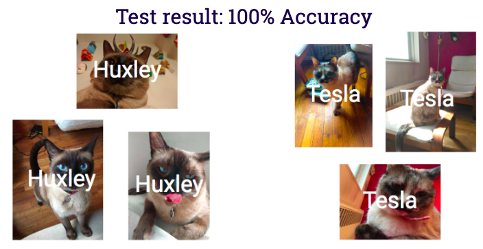 The AI achieves perfect accuracy, but is it reliable?