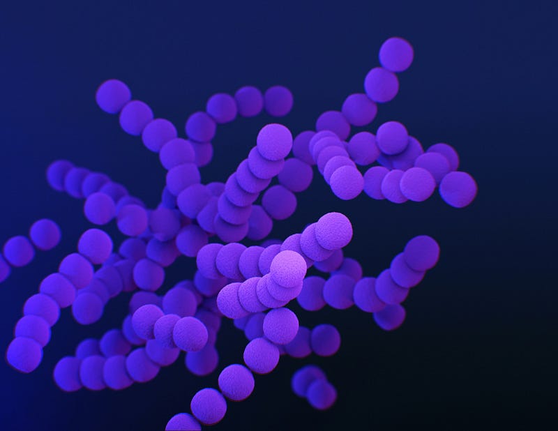 Understanding the mechanisms of antibiotic resistance